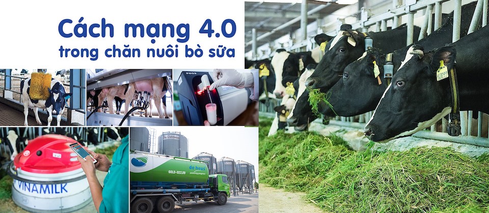Khám[-]phá[-]trang[-]trại[-]"Thông[-]minh"[-]của[-]Vinamilk